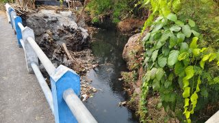 Misteri Sungai Menghitam di Kemirisewu, Warga Ungkap Dugaan Sisa Limbah Perusahaan