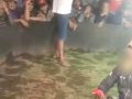 Warga Tolak Judi Sabung Ayam di Tutur, Paminal Didesak Telusuri Dugaan Pembiaran Polsek