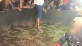 Warga Tolak Judi Sabung Ayam di Tutur, Paminal Didesak Telusuri Dugaan Pembiaran Polsek